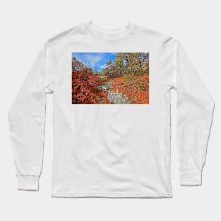 Autumn Carso Near Aurisina Long Sleeve T-Shirt